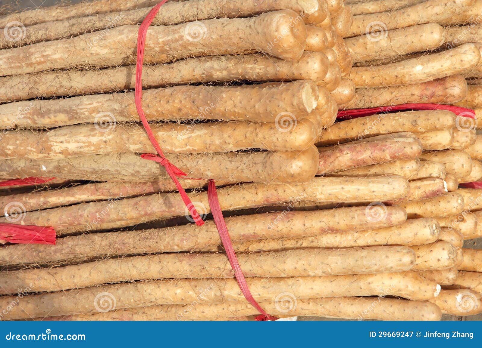 Chinese yam stock image. Image of close, japanese, chinese 29669247
