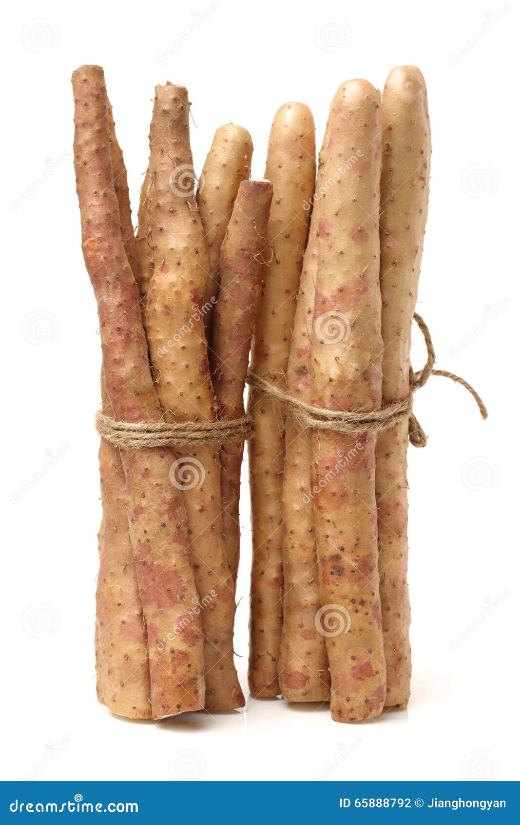 Chinese yam stock photo. Image of xanthosoma, yamaimo 65888792
