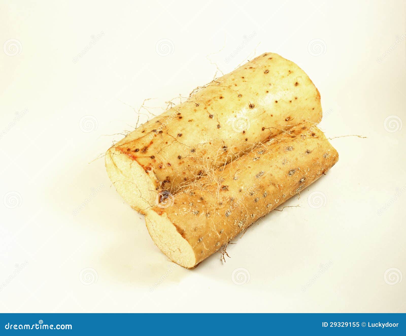 Chinese Yam stock image. Image of farmers, starch, plants 29329155