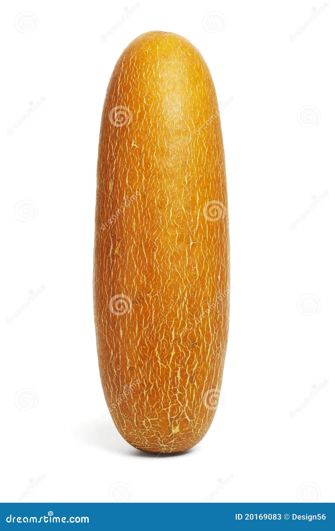 Chinese yellow cucumber stock image. Image of vegetarian 20169083