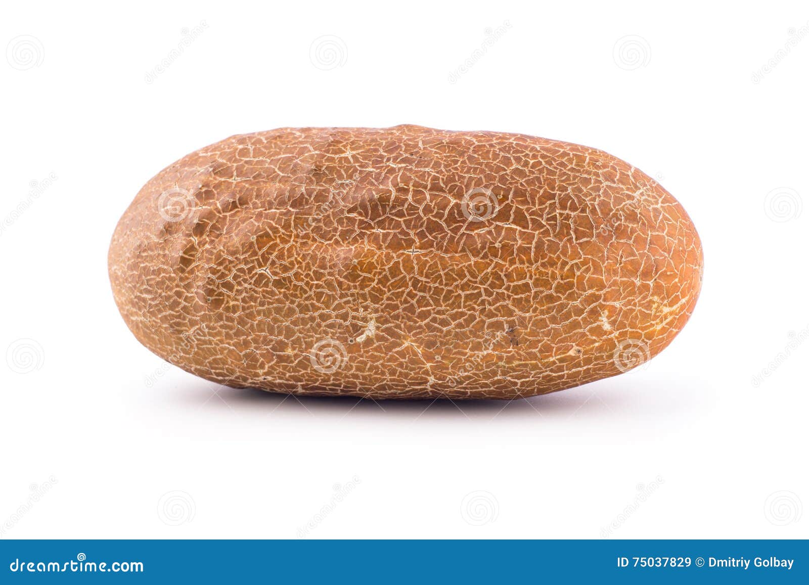 Chinese yellow cucumber stock image. Image of fruit, chinese 75037829