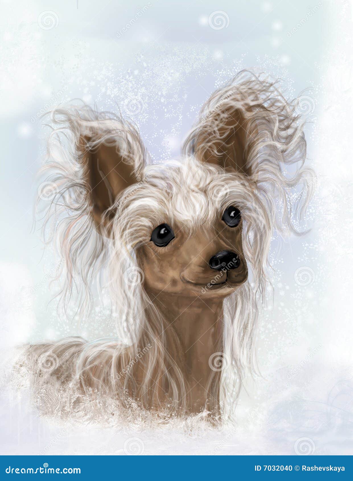 Chinesisches Mit Haube Unbehaart Stock Abbildung Illustration Von Haube Chinesisches 7032040