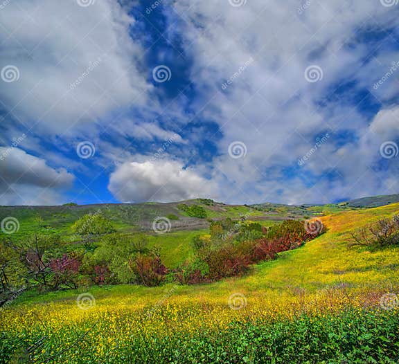 My Image 21