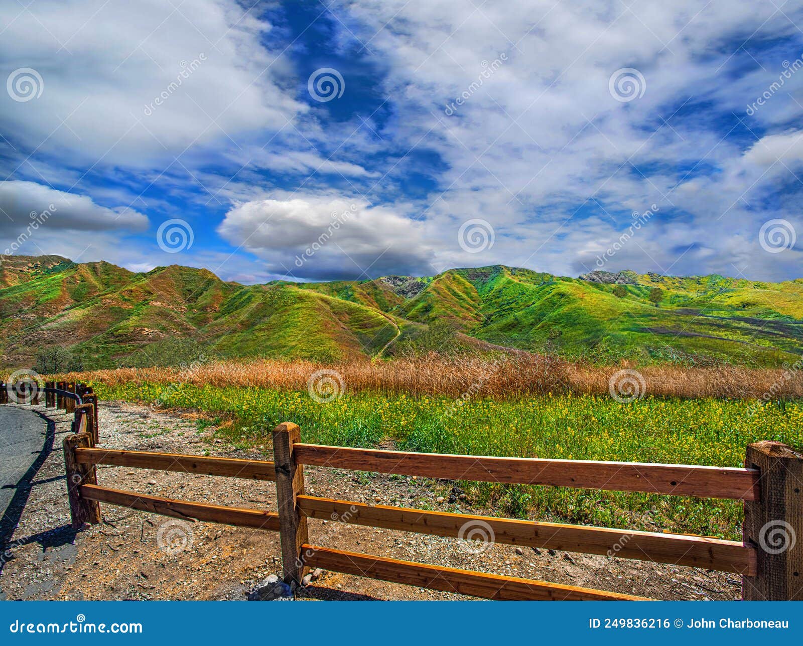 chino hills, ca. state park spring wildflower fields landscape