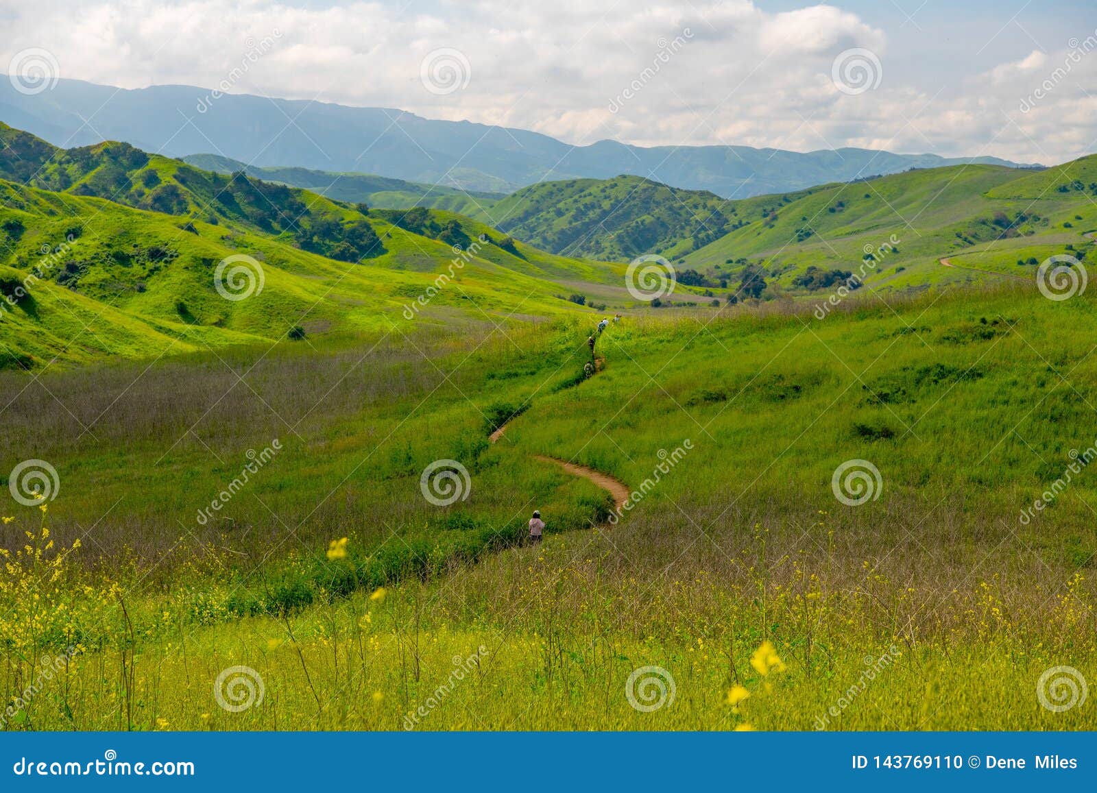 chino hills view in spring time