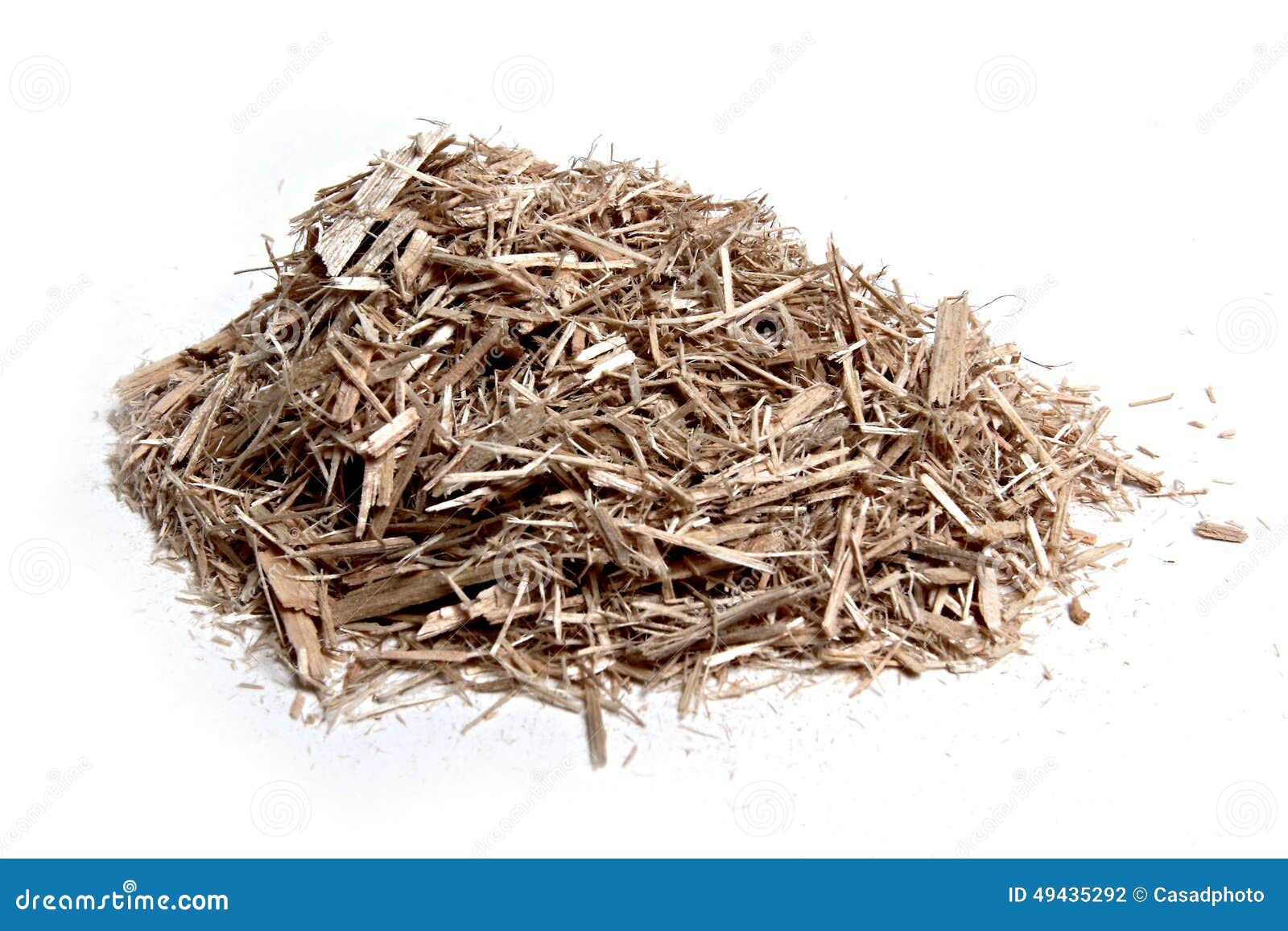 Chip dell'eucalyptus fotografia stock. Immagine di estratto 49435292