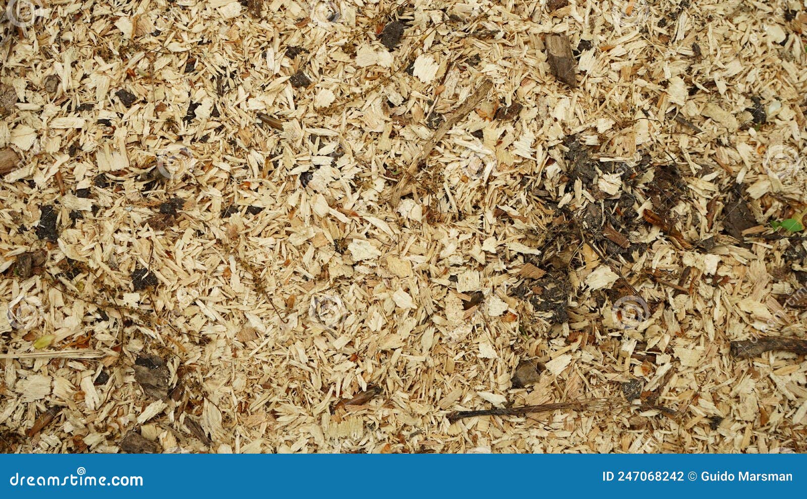 chipped wood shredded bark top view graphic texture template