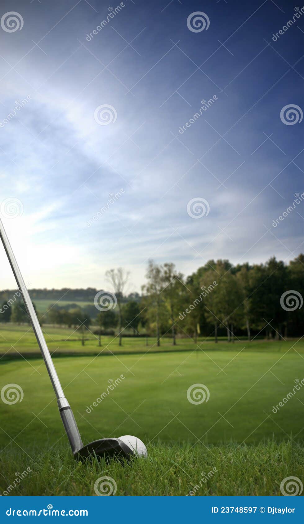 Chipping a Golf Ball Onto the Green Stock Image Image of golf