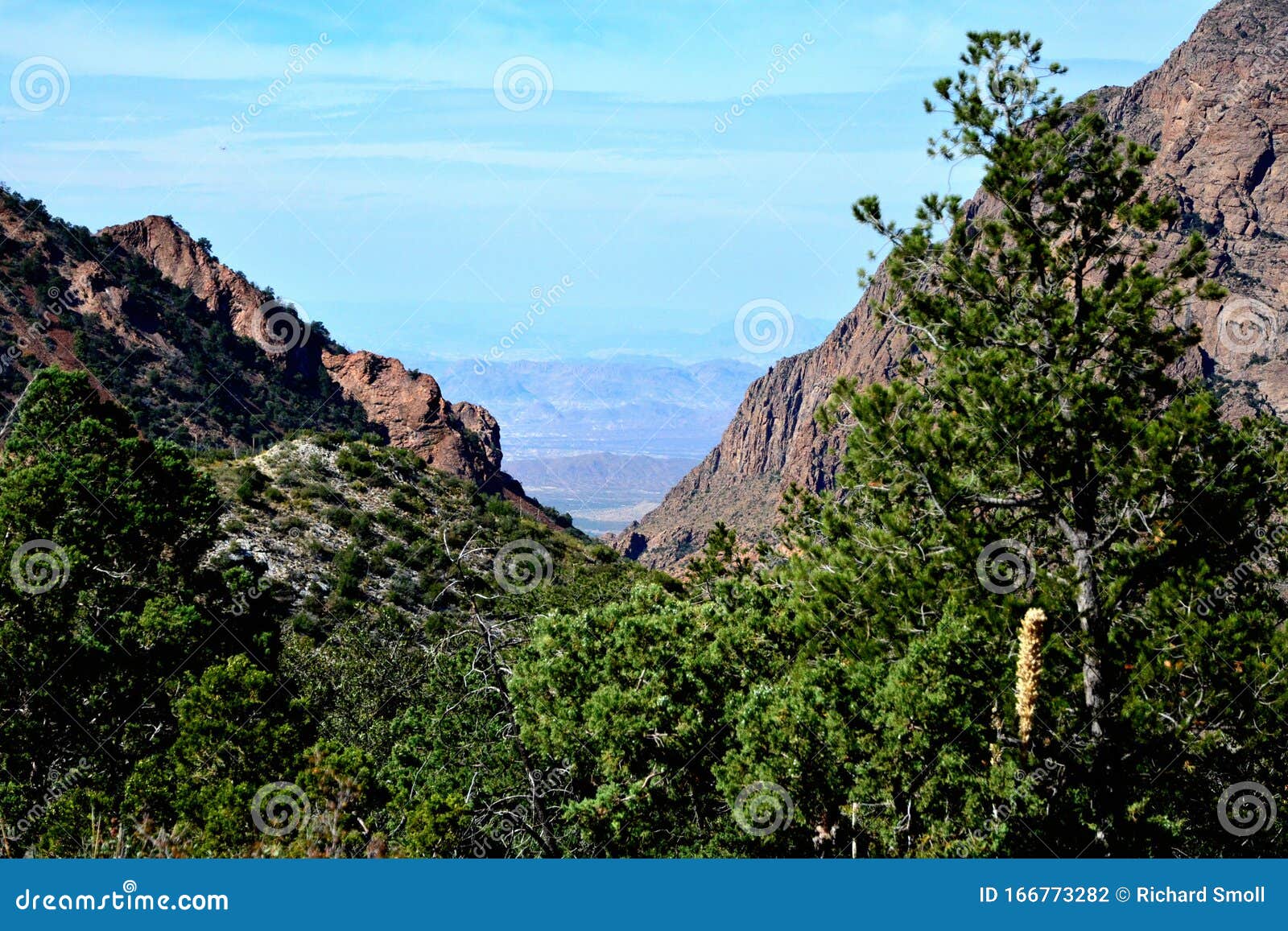 big bend - chisos basin loop trail -1