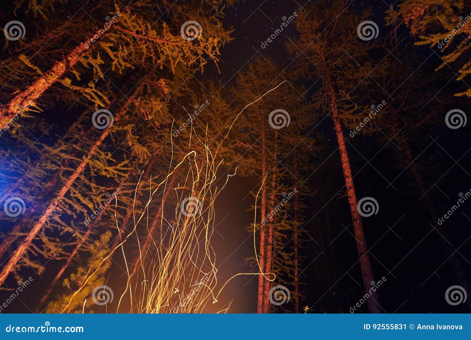 Chispas a partir de una noche de la hoguera en el bosque que vuela en el cielo Fuego en el bosque debajo de un cielo estrellado, los árboles iluminados por la luz del fuego, la noche de los turistas que ata con alambre el fuego