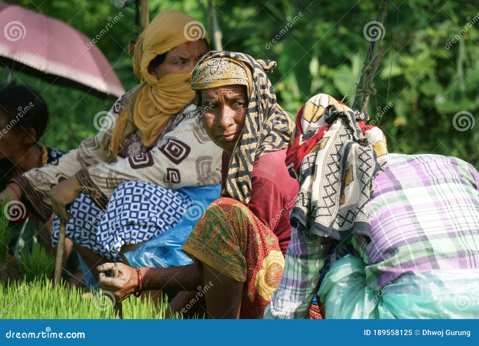 Chitwan Nepal September 2020 Nepali Village Women Working In The