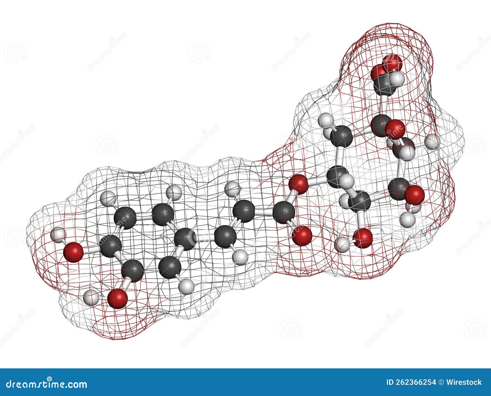 chlorogenic acid herbal molecule. 3d rendering.