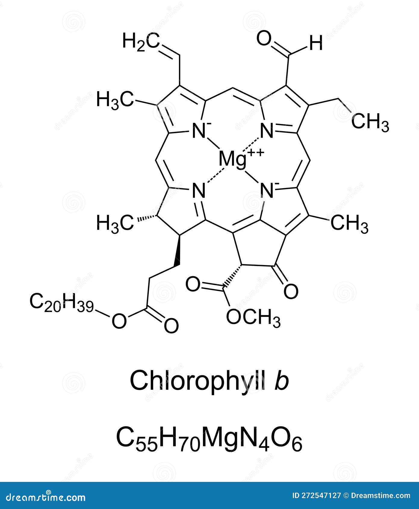 Chlorophyll C Structure 3d Obj
