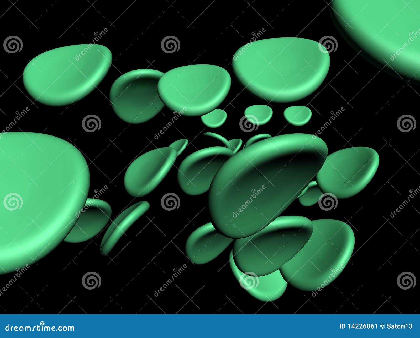 chlorophyll cells