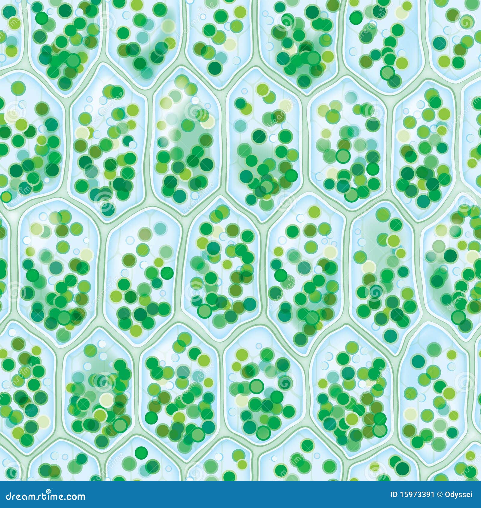 chlorophyll cells seamless pattern