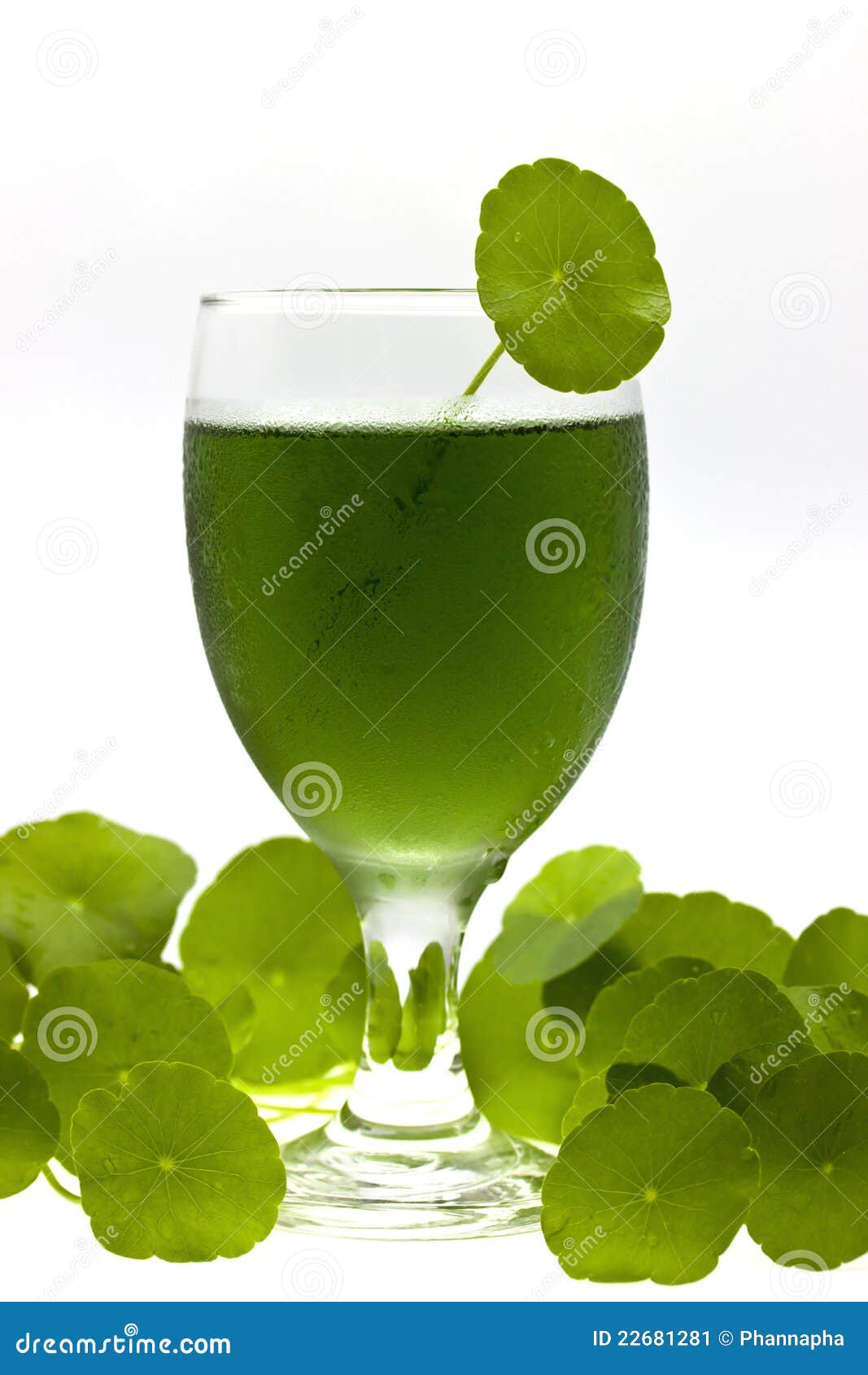 chlorophyll drink