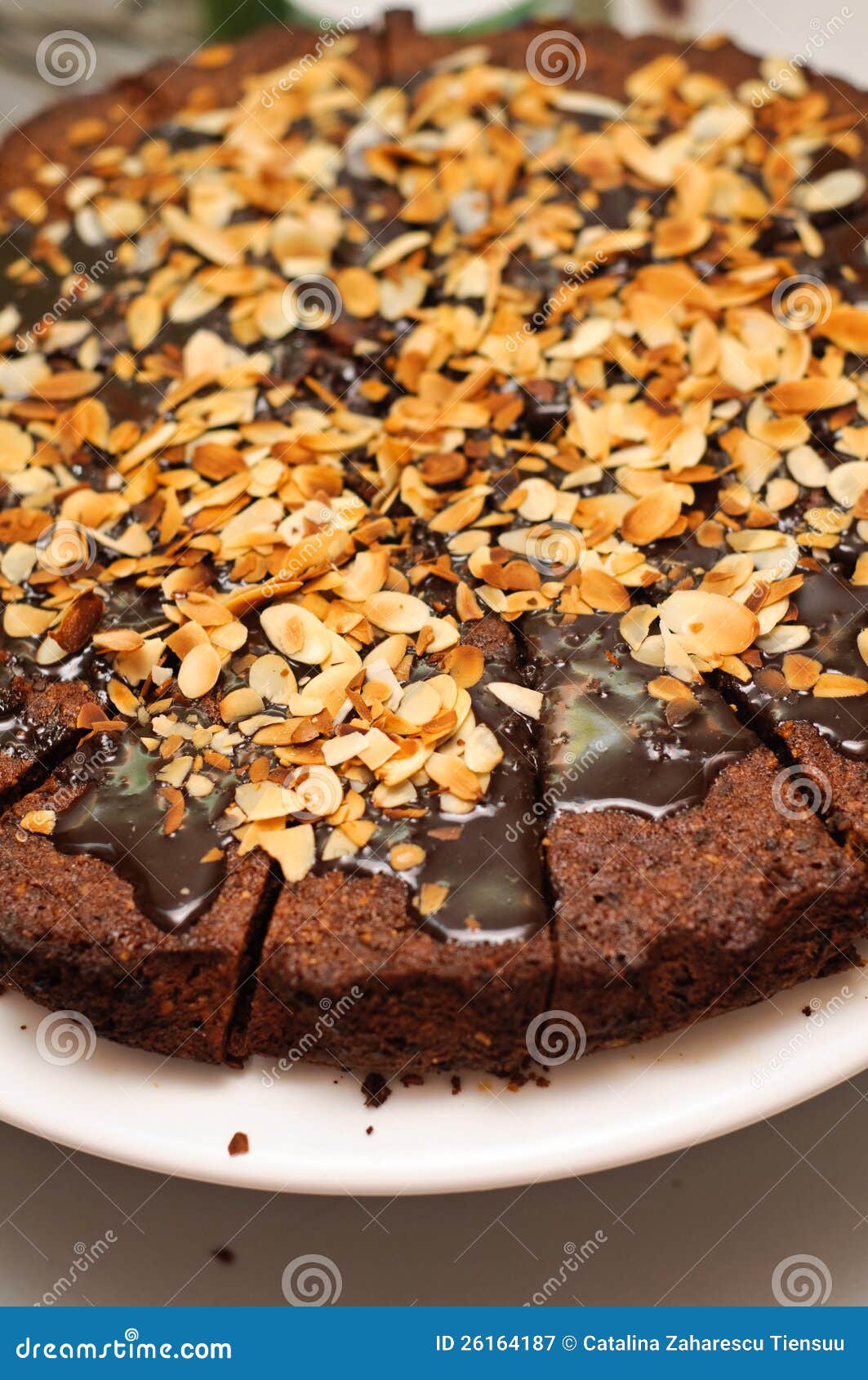 Chocolate and Almonds Torte Stock Image Image of sauce, bake 26164187