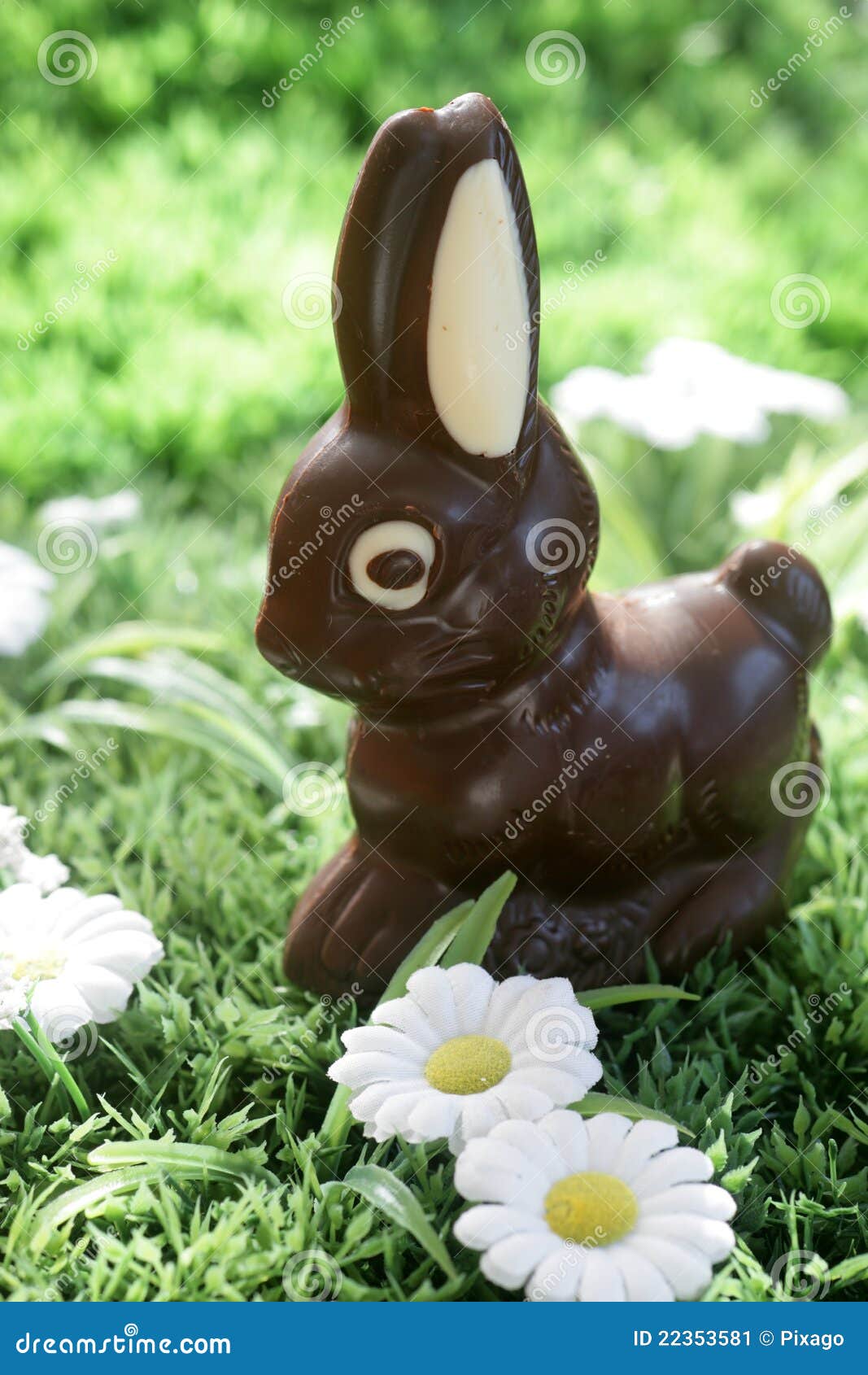 Chocolate Bunny stock image. Image of sugar, white, spring 22353581