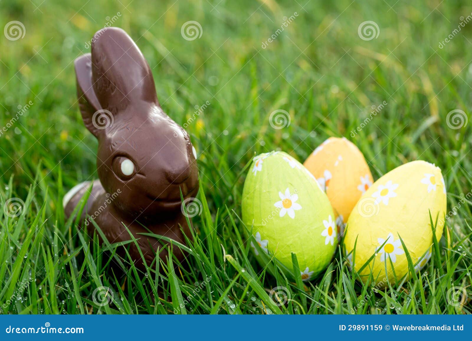 Chocolate Bunny in the Grass with Easter Eggs Stock Image Image of