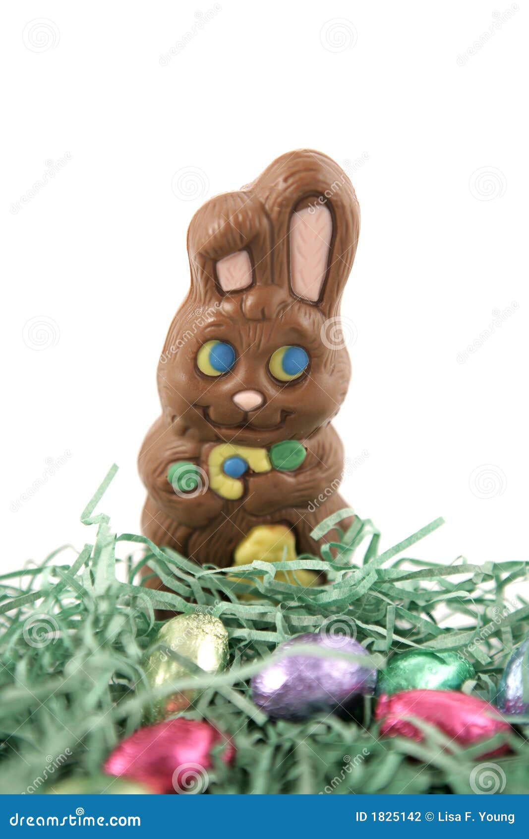 Chocolate Bunny in Nest stock photo. Image of rabbit, dark 1825142
