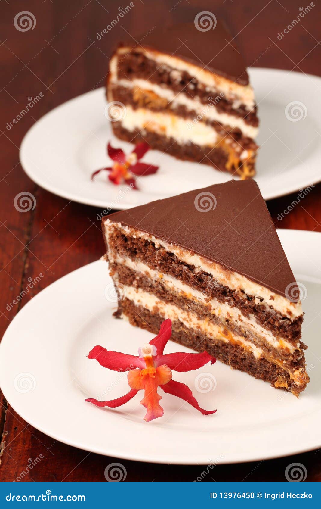 Chocolate Cake with Cheese and Apricot Jam Stock Photo Image of