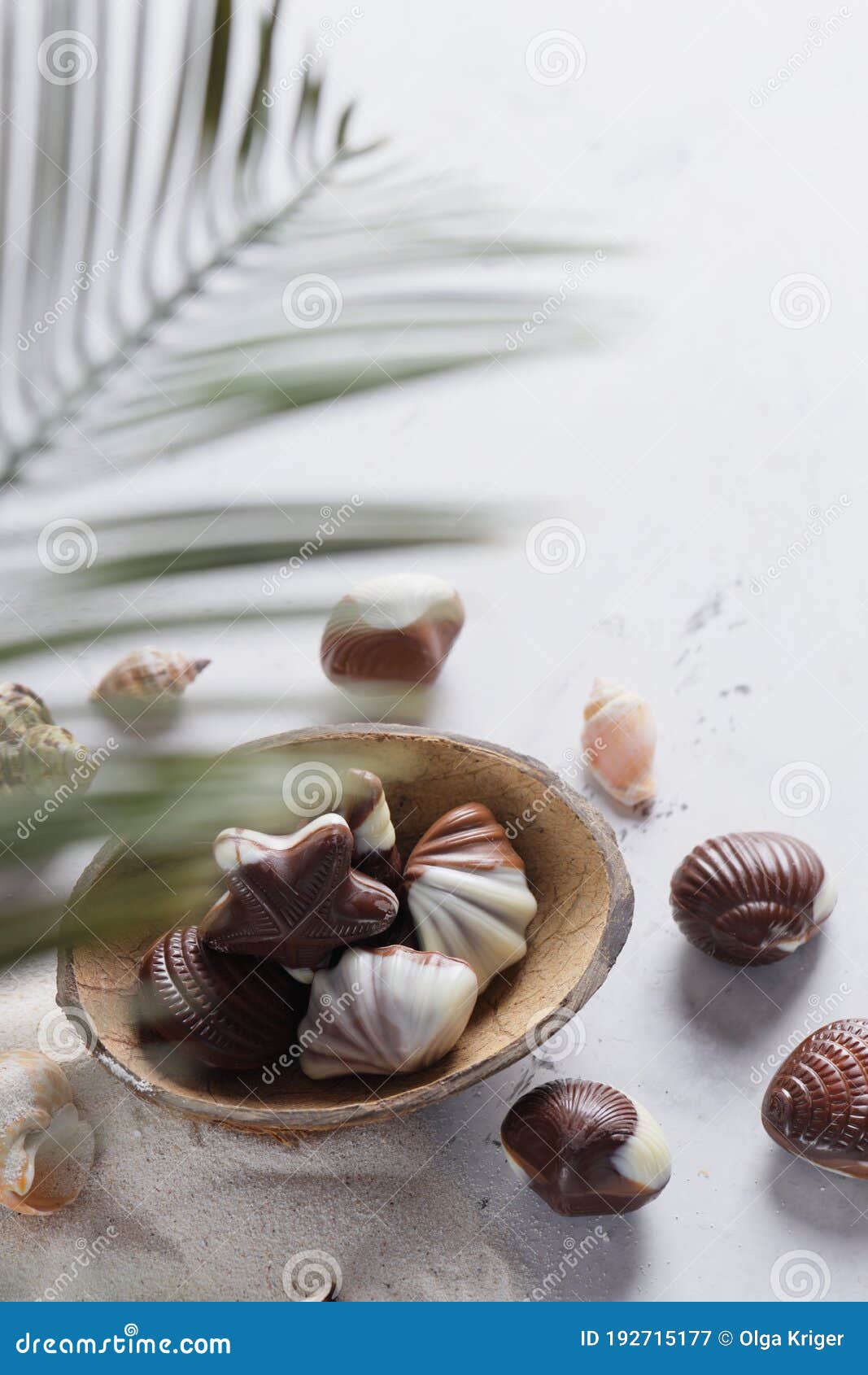 Chocolate Candy Shell Shape Stock Image Image of shape, belgian