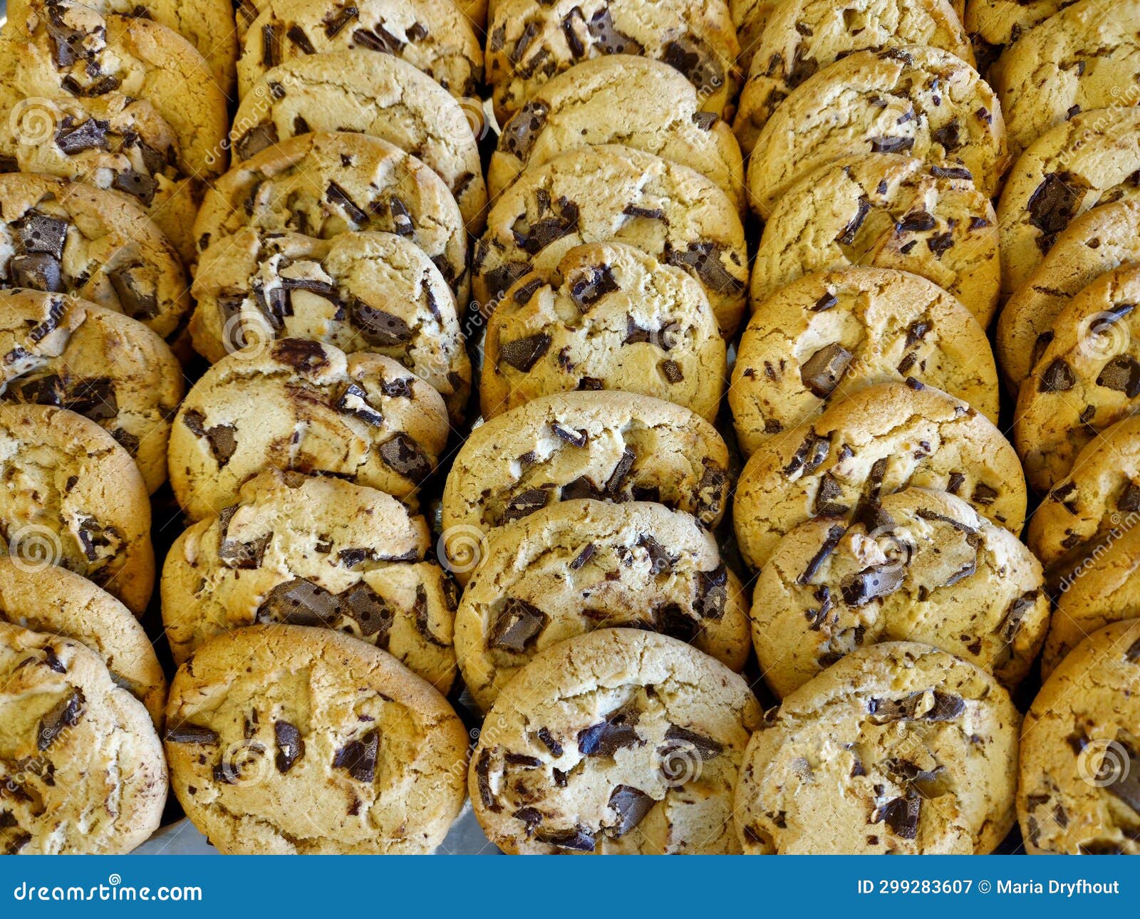 Chocolate Chip Cookie Tray stock image. Image of treat 299283607