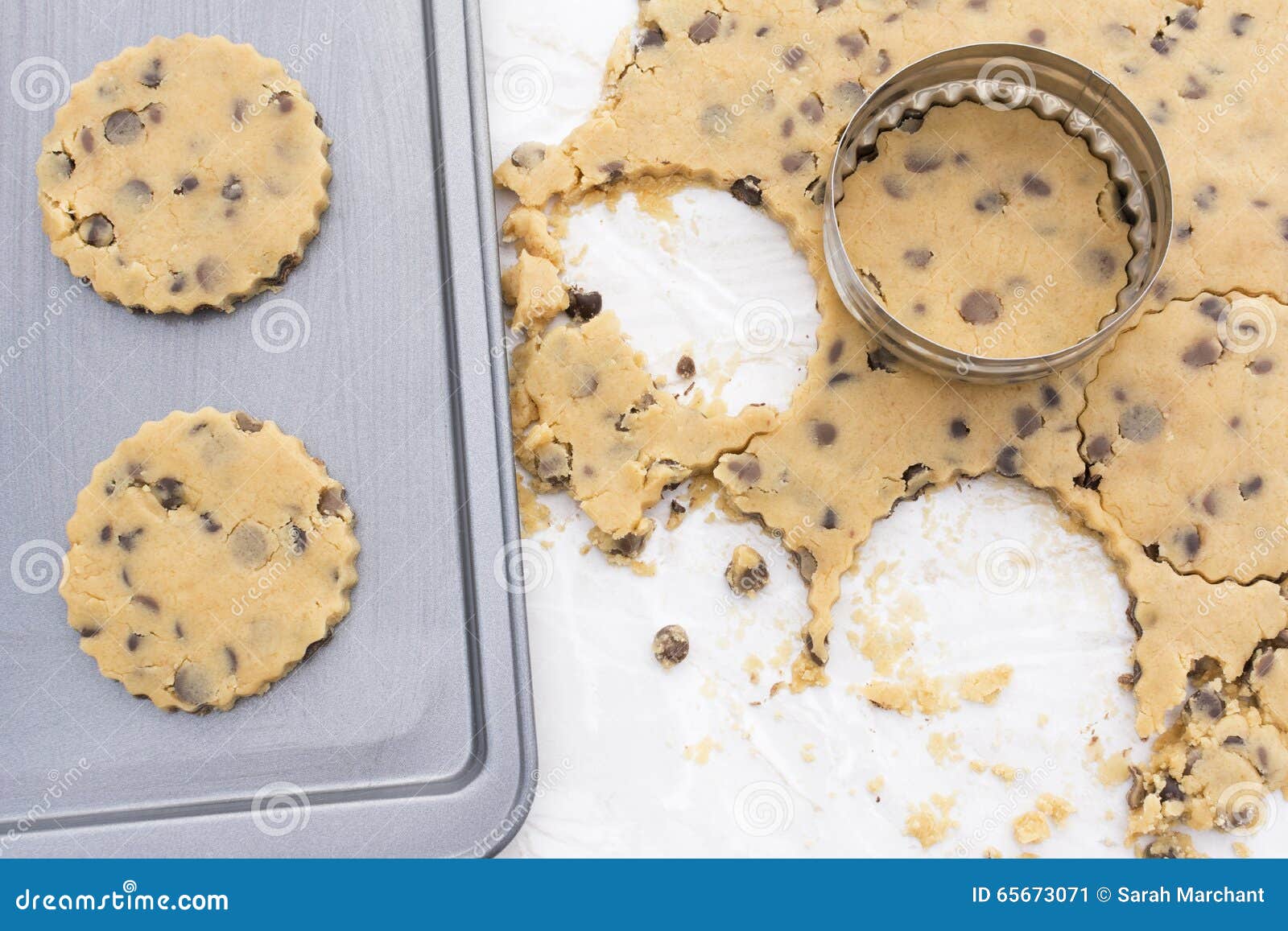 Chocolate Chip Cookies on a Baking Tray Stock Image Image of circle