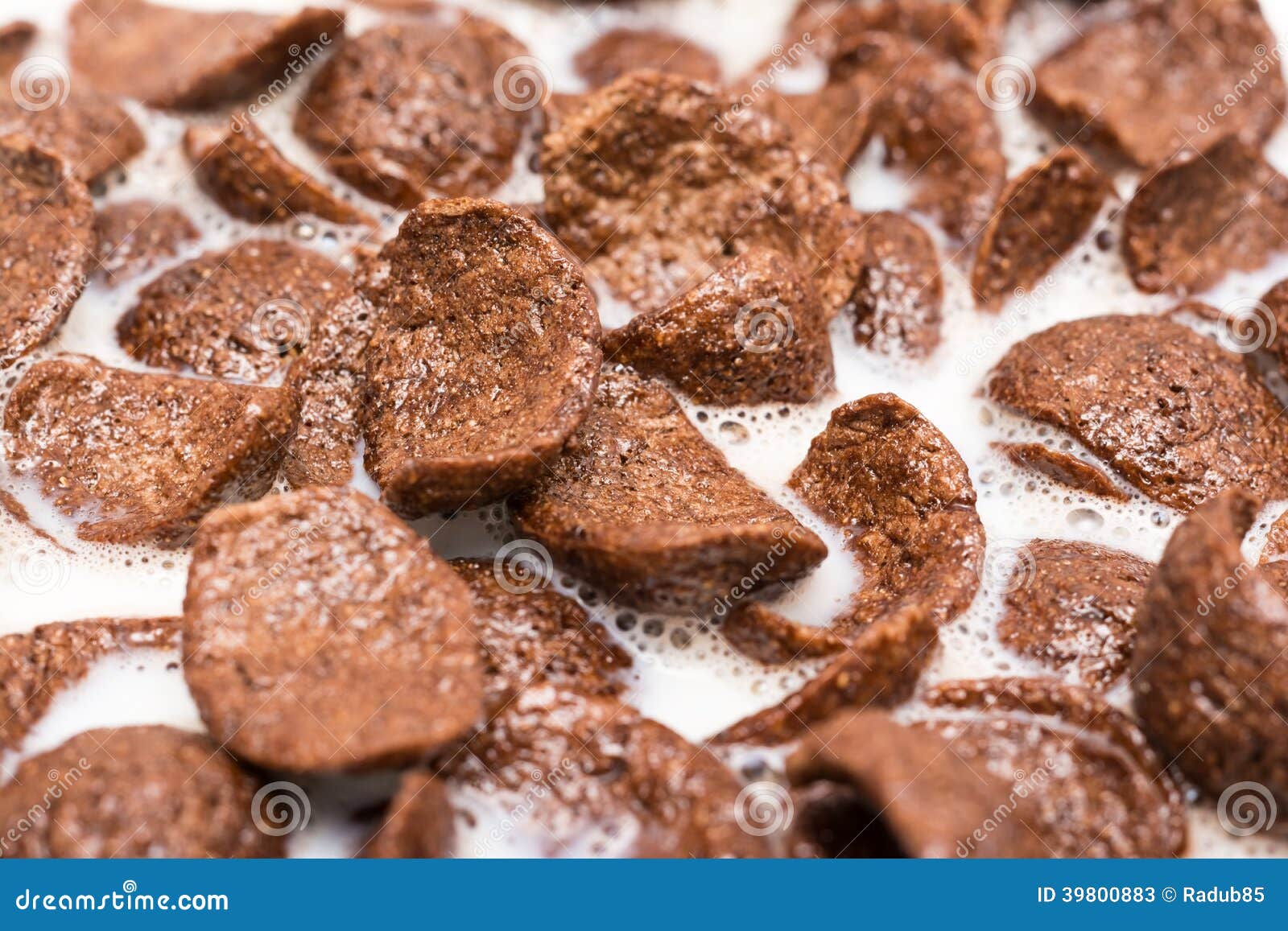 Chocolate Corn Flakes with Milk Stock Image Image of health, flakes