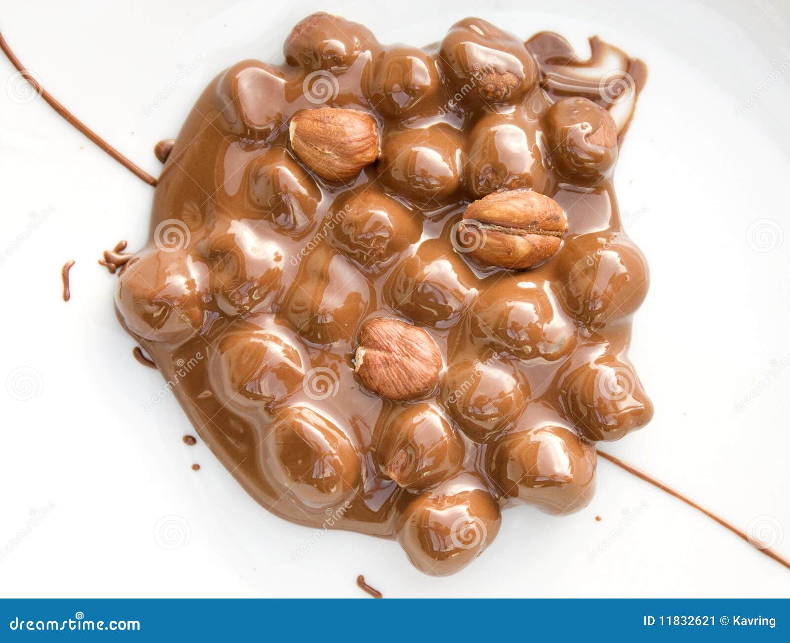 Chocolate Covered Hazelnuts Stock Image Image of chocolate, sweets
