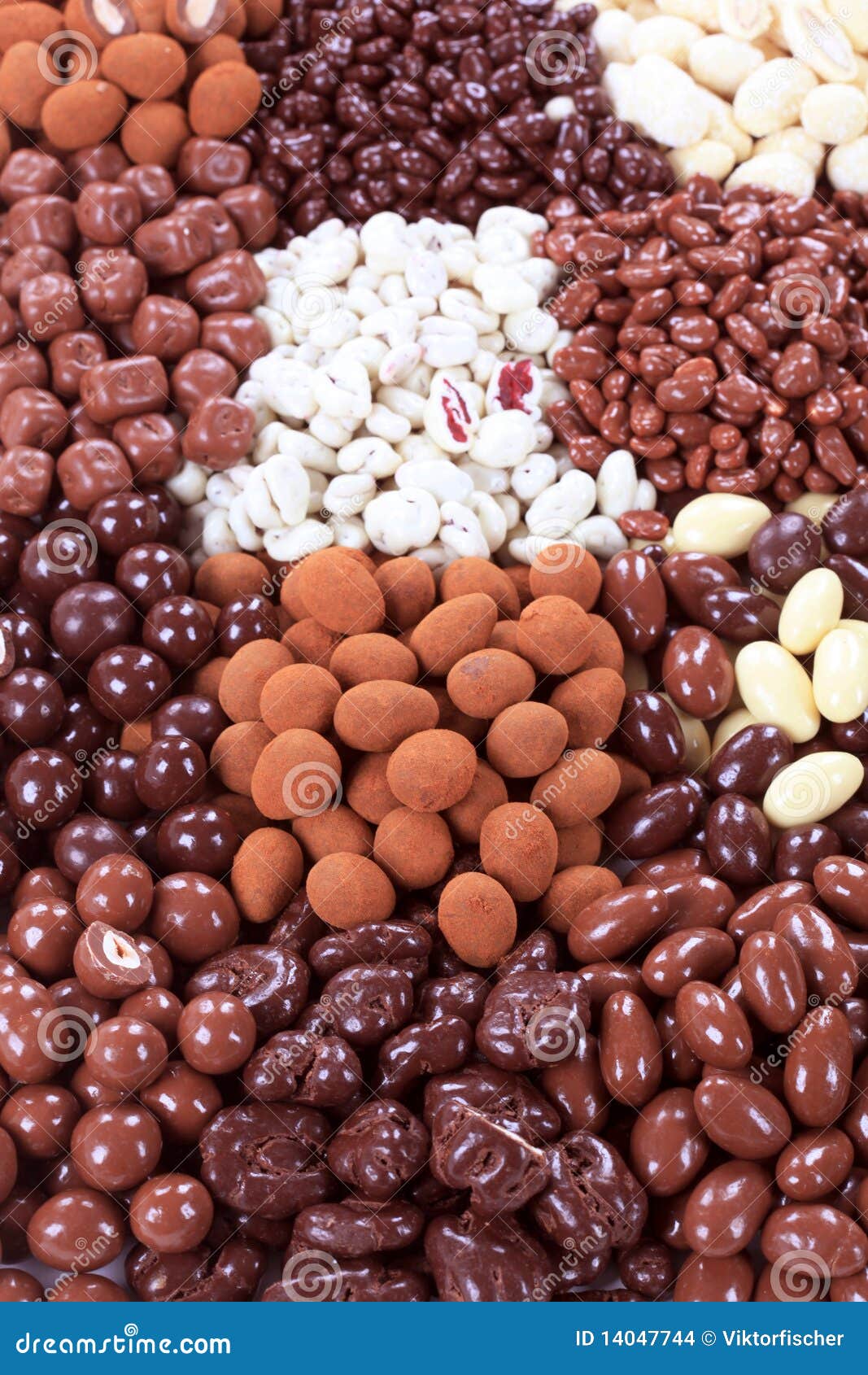 Chocolate Covered Nuts and Fruit Stock Photo Image of sweet, dried