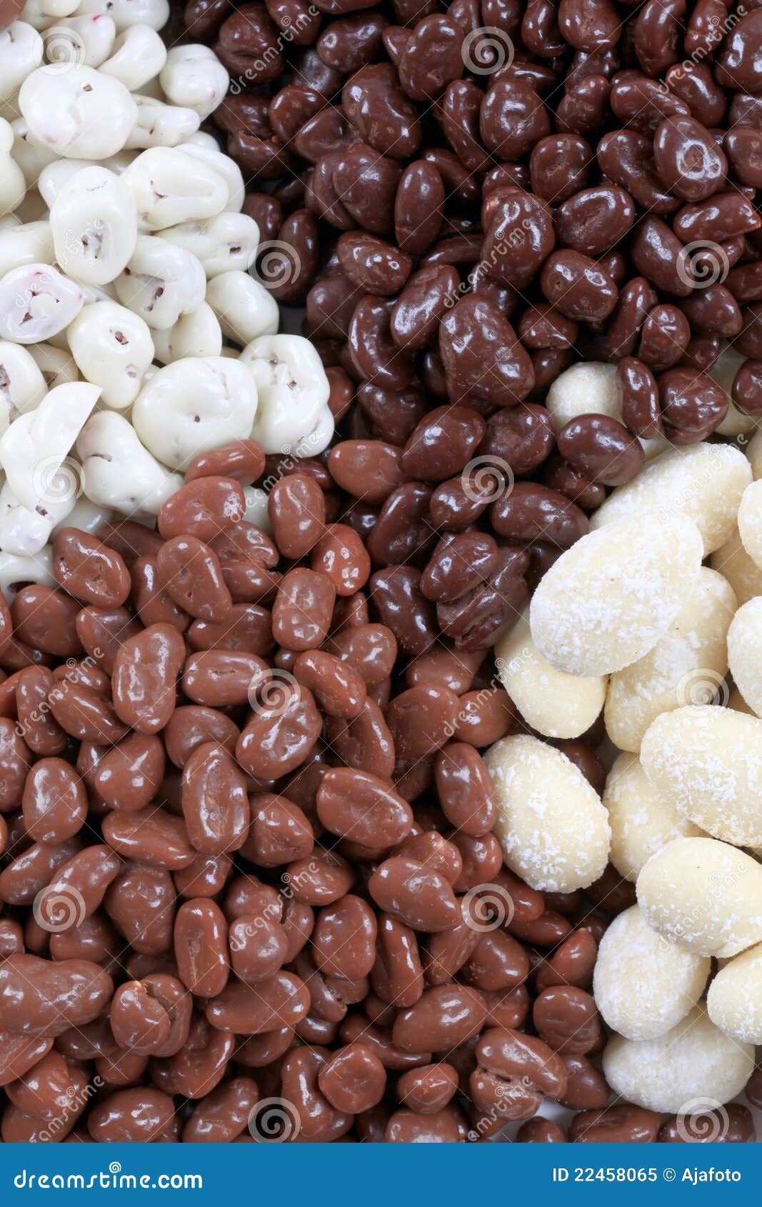 Chocolate Covered Nuts and Fruit Stock Image Image of nuts, white