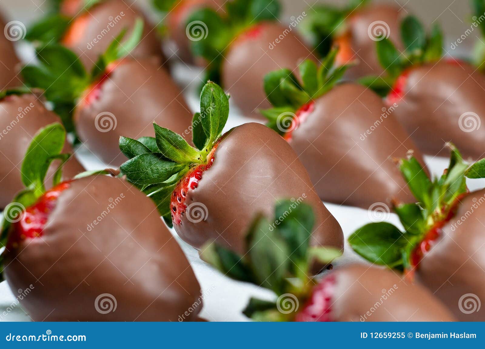 chocolate covered strawberries in rows