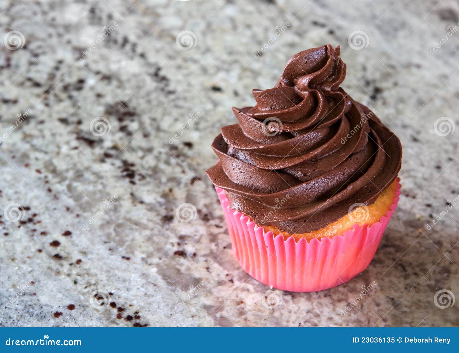 Chocolate Cupcake on Kitchen Counter Stock Image Image of delicious