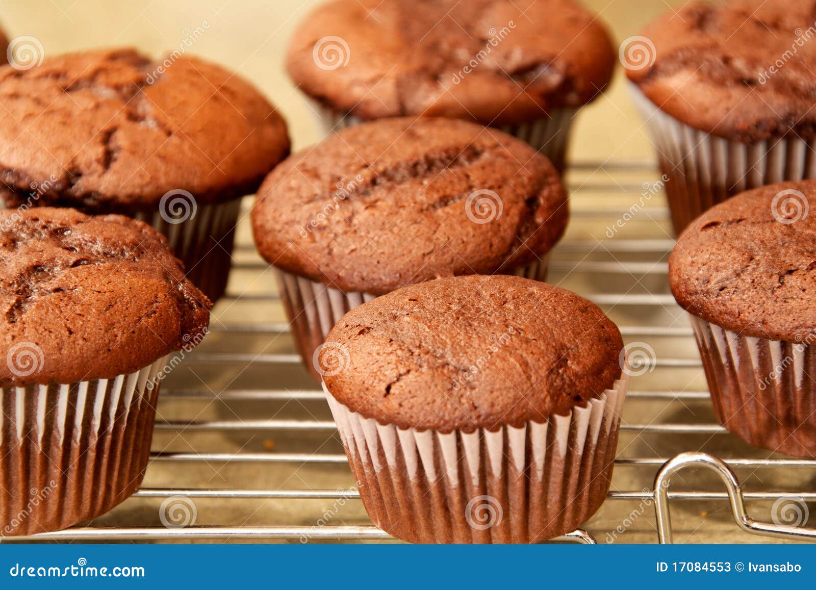 Chocolate Cupcakes on Cooling Rack Stock Image Image of snack, bakery