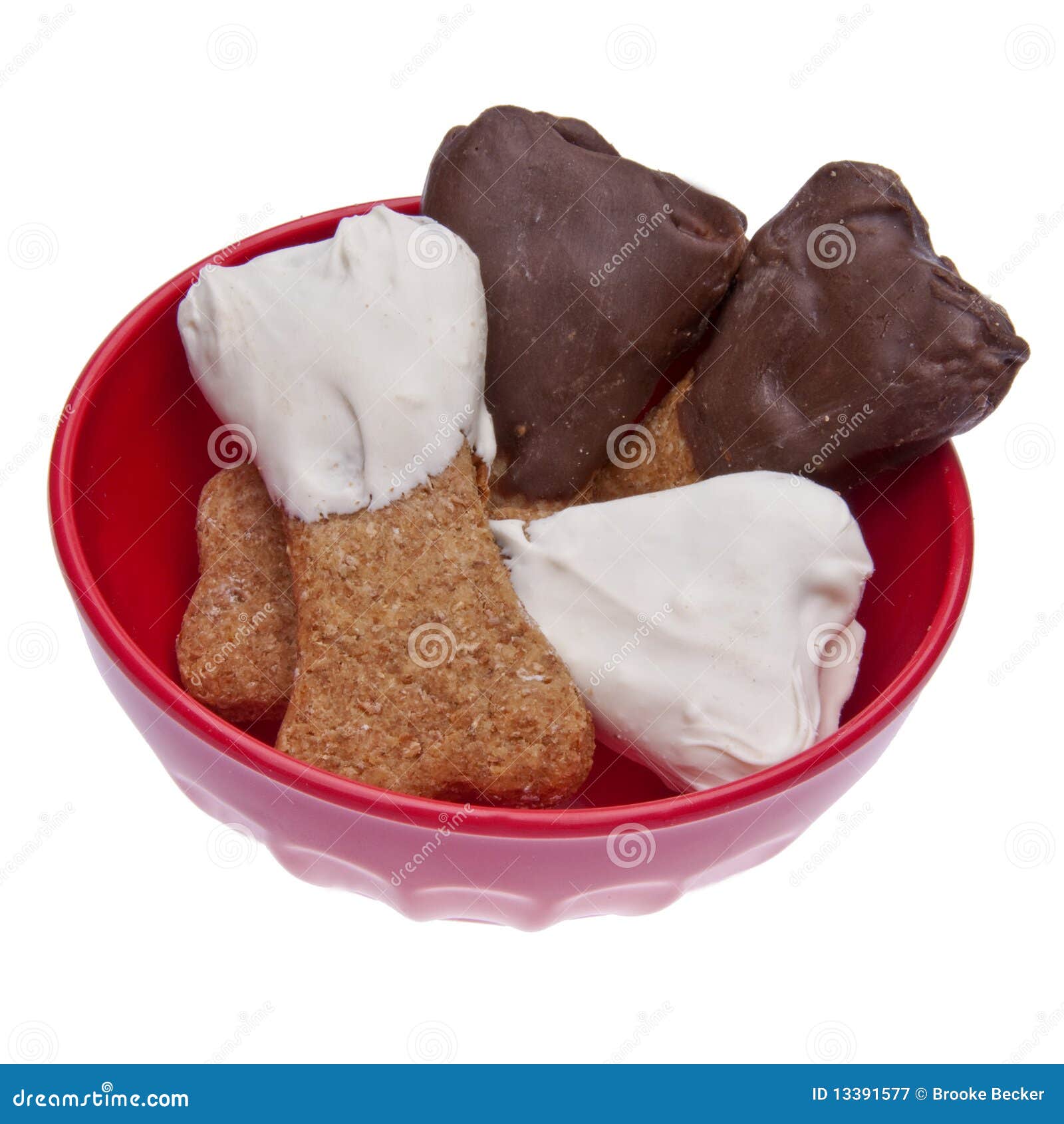 Chocolate Dipped Dog Treats Stock Image Image of brown, cookie 13391577
