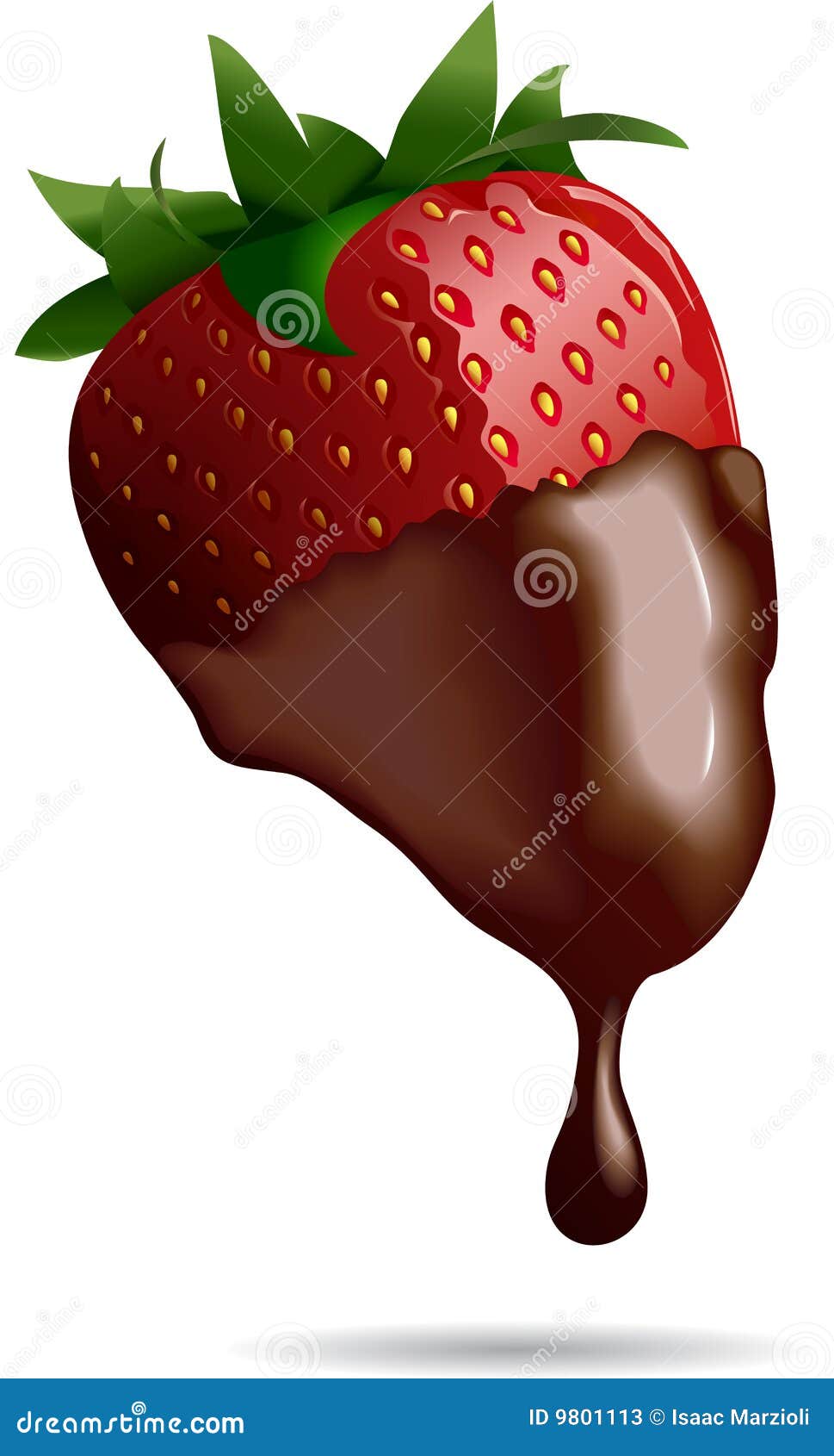Chocolate Dipped Strawberry Stock Vector Illustration of celebration