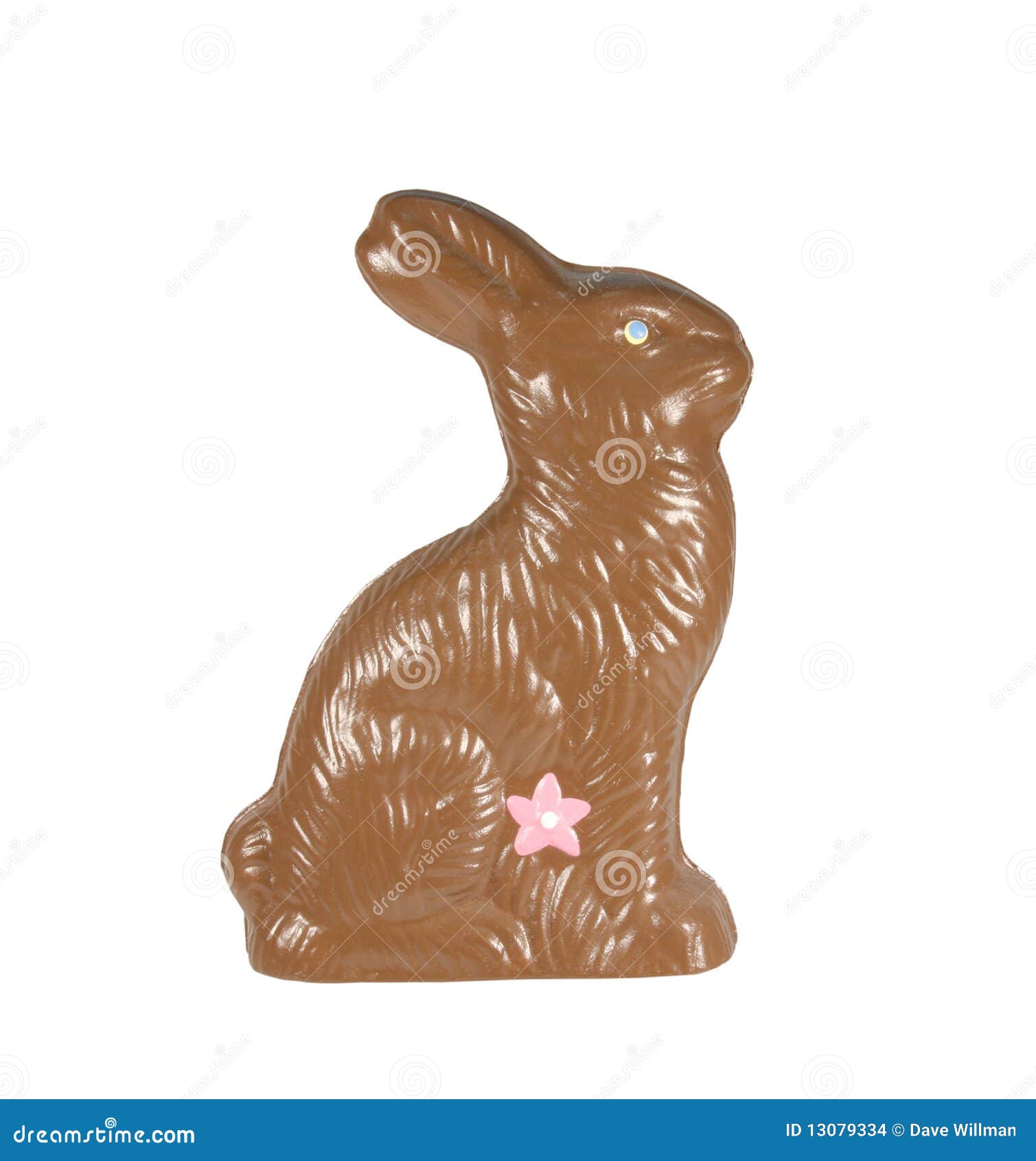 Chocolate Easter Bunny Isolated with Path Stock Photo Image of