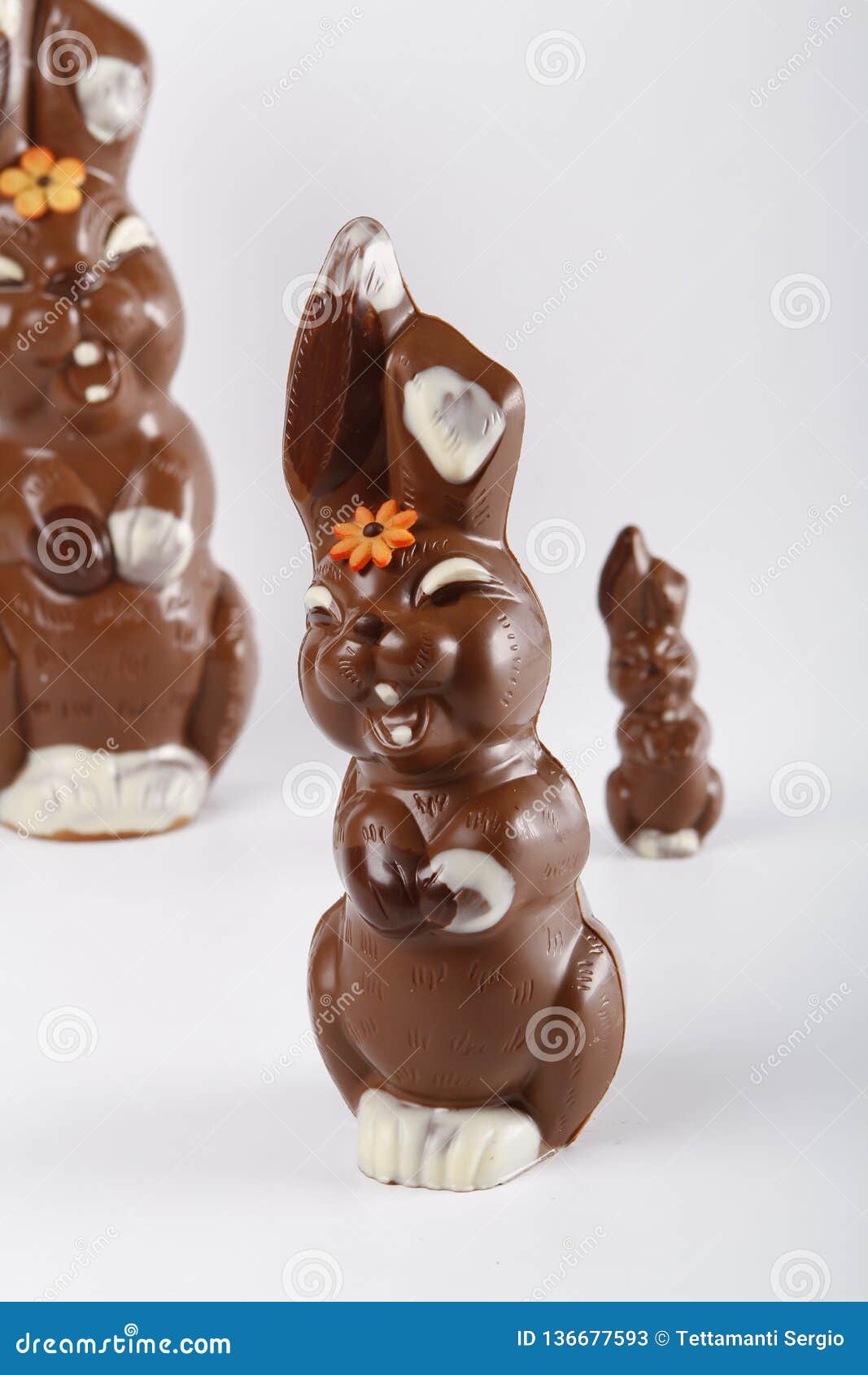 Chocolate Eastern Bunnies in Three Different Sizes Stock Image Image