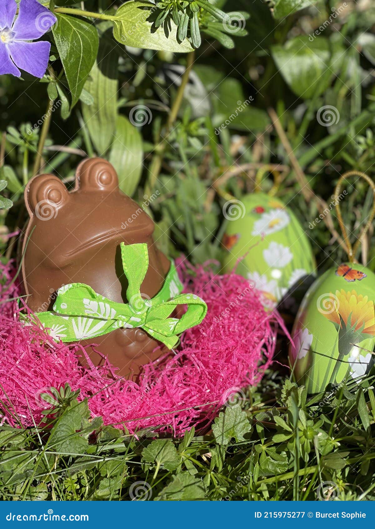 A chocolate frog stock image. Image of frog, watch, easter 215975277