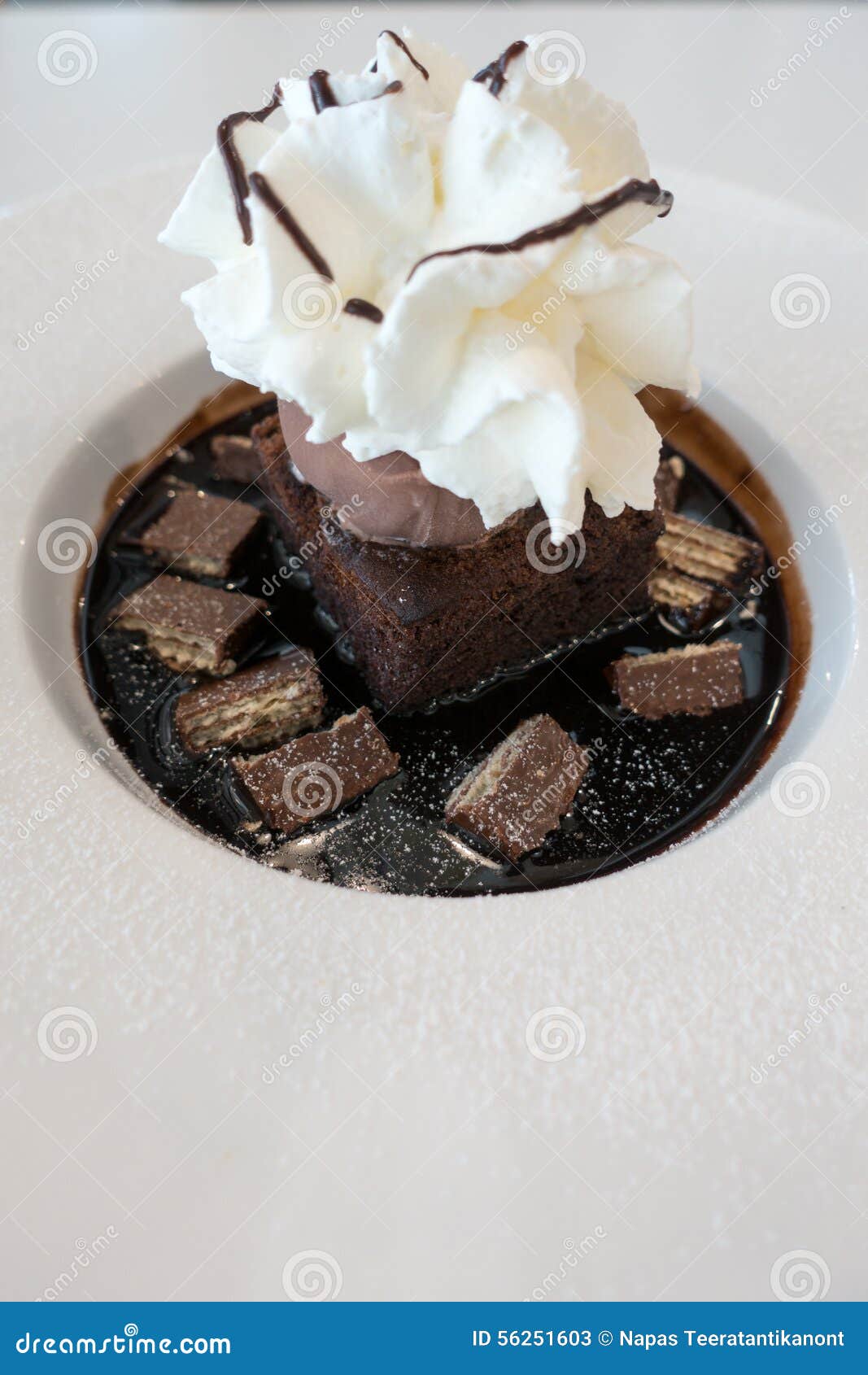 Chocolate Fudge Cake and Ice Cream on Chocolate Sauce Stock Image