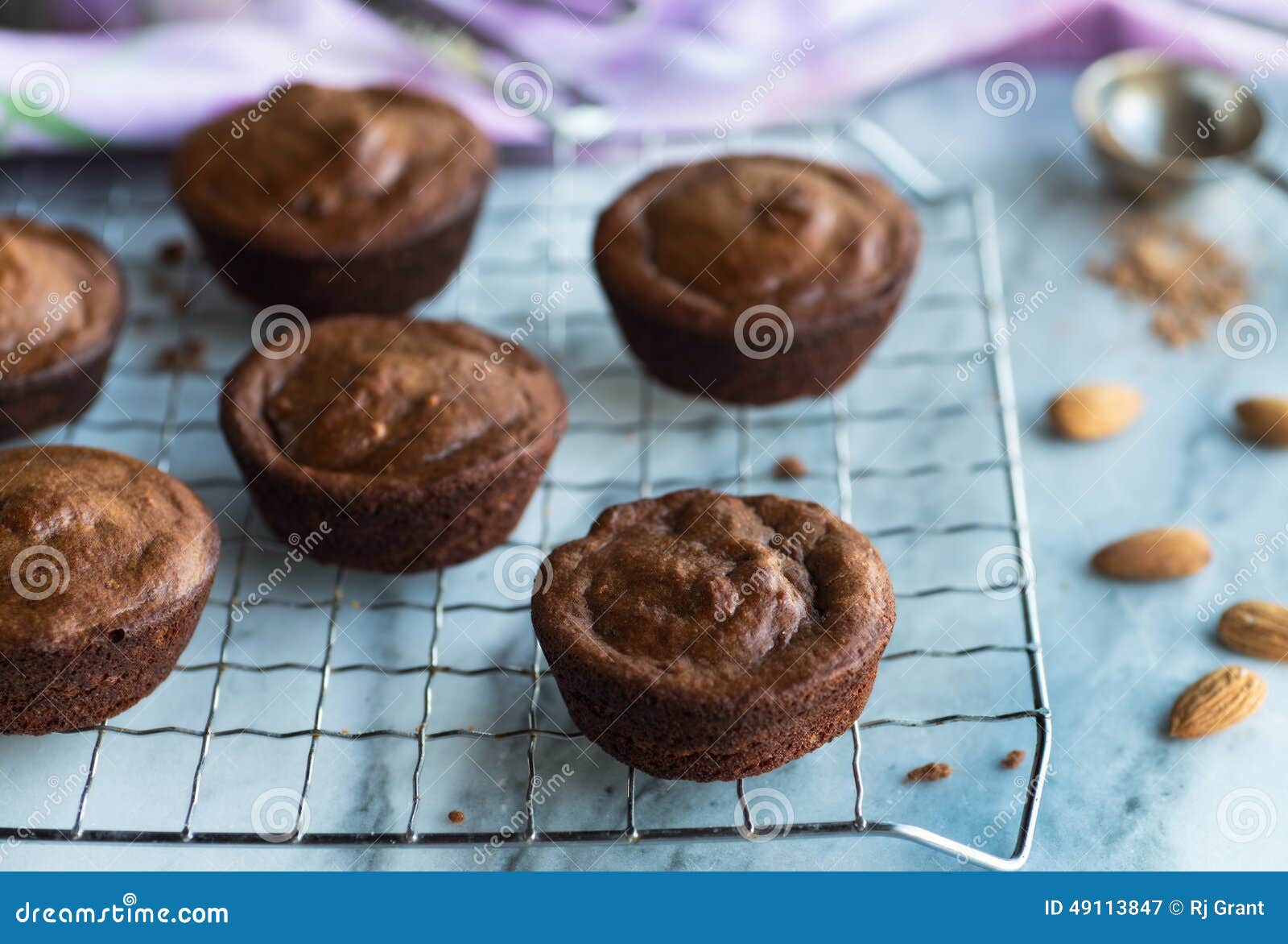 Chocolate Healthy Muffins stock image. Image of powder - 49113847