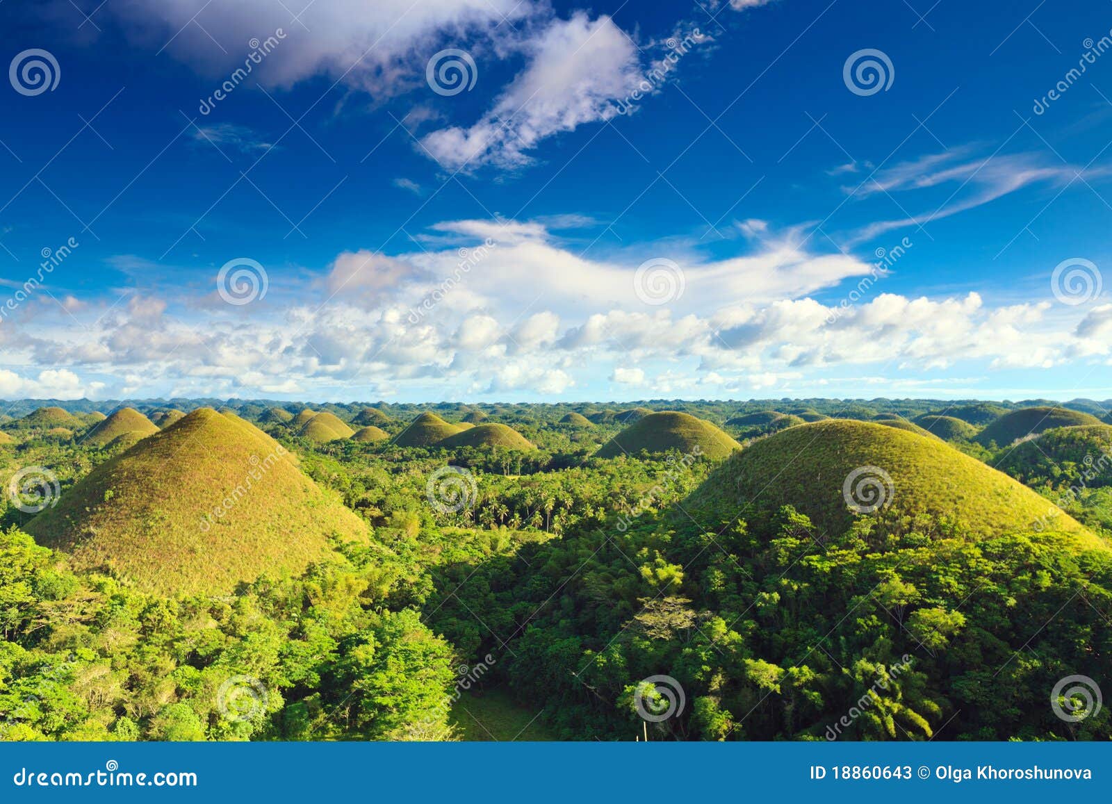 chocolate hills