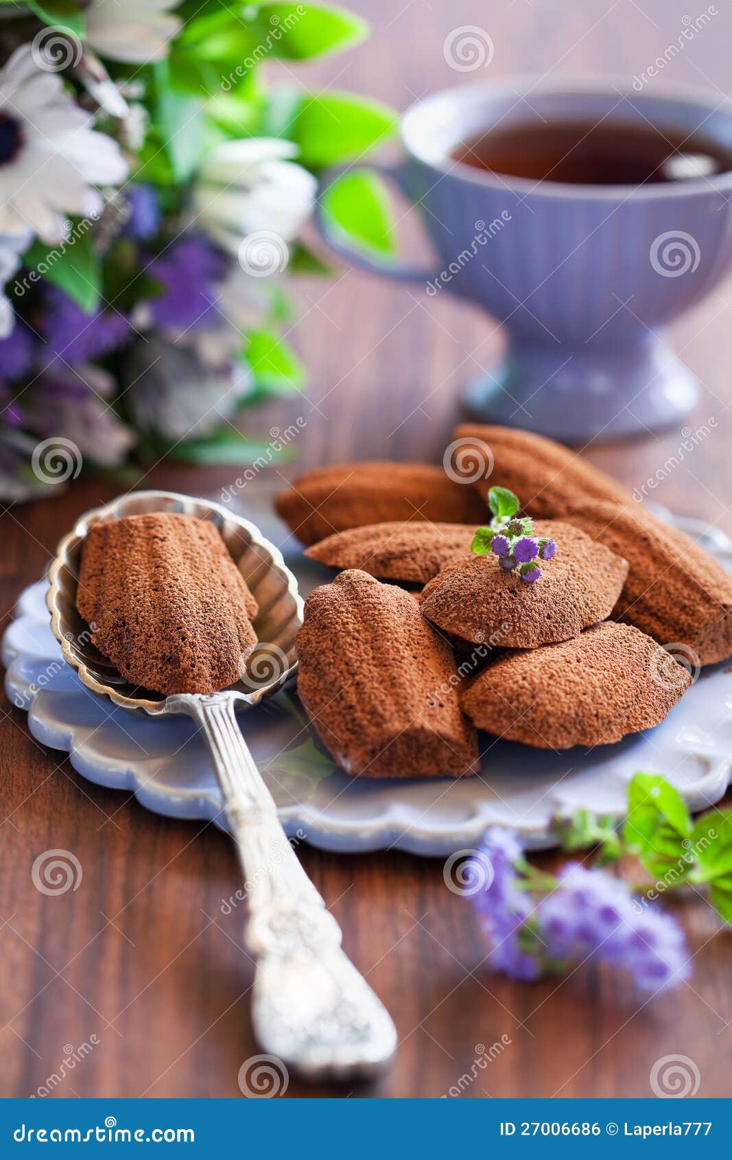 Chocolate Madeleine Cookies Stock Photo Image of gourmet, holiday