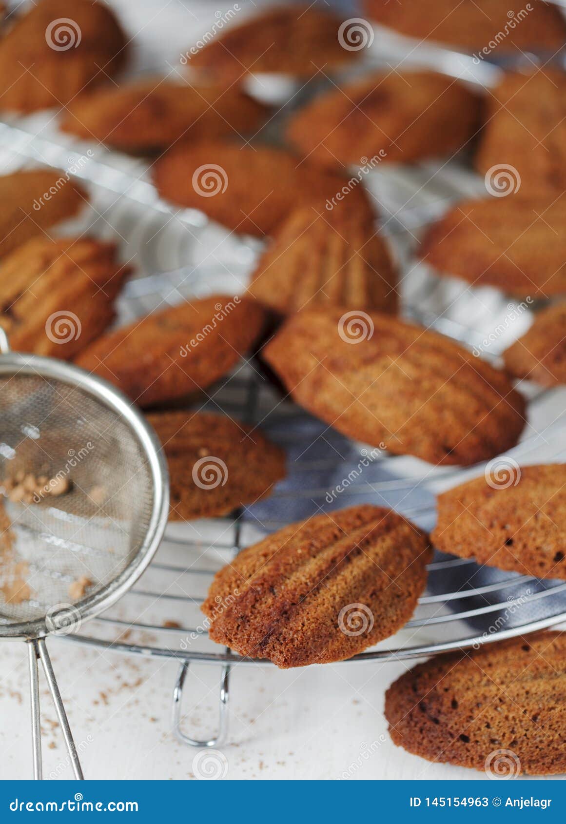 Chocolate Madeleine. French Madeleine Stock Image Image of gourmet