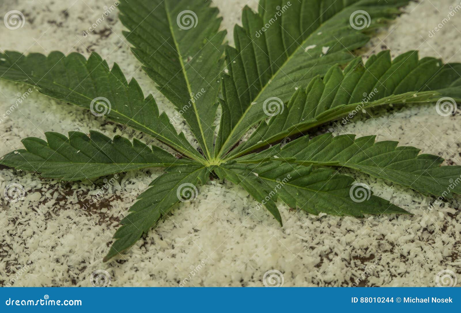 Chocolate Marijuana Cake with Marijuana Butter Stock Photo Image of
