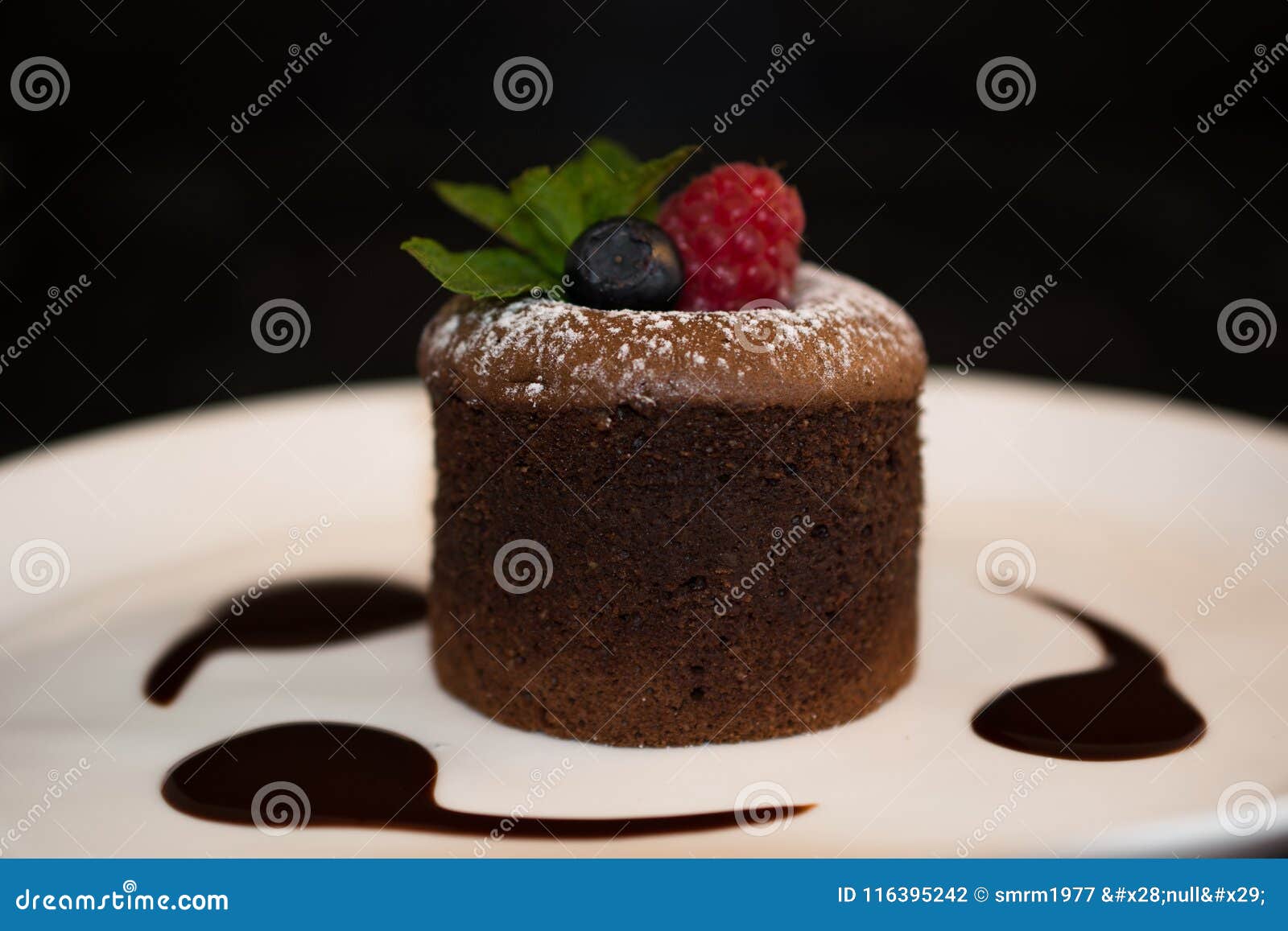 CHOCOLATE MOLTEN VOLCANO CAKE DECORATED with ICING SUGAR and FRUIT ...