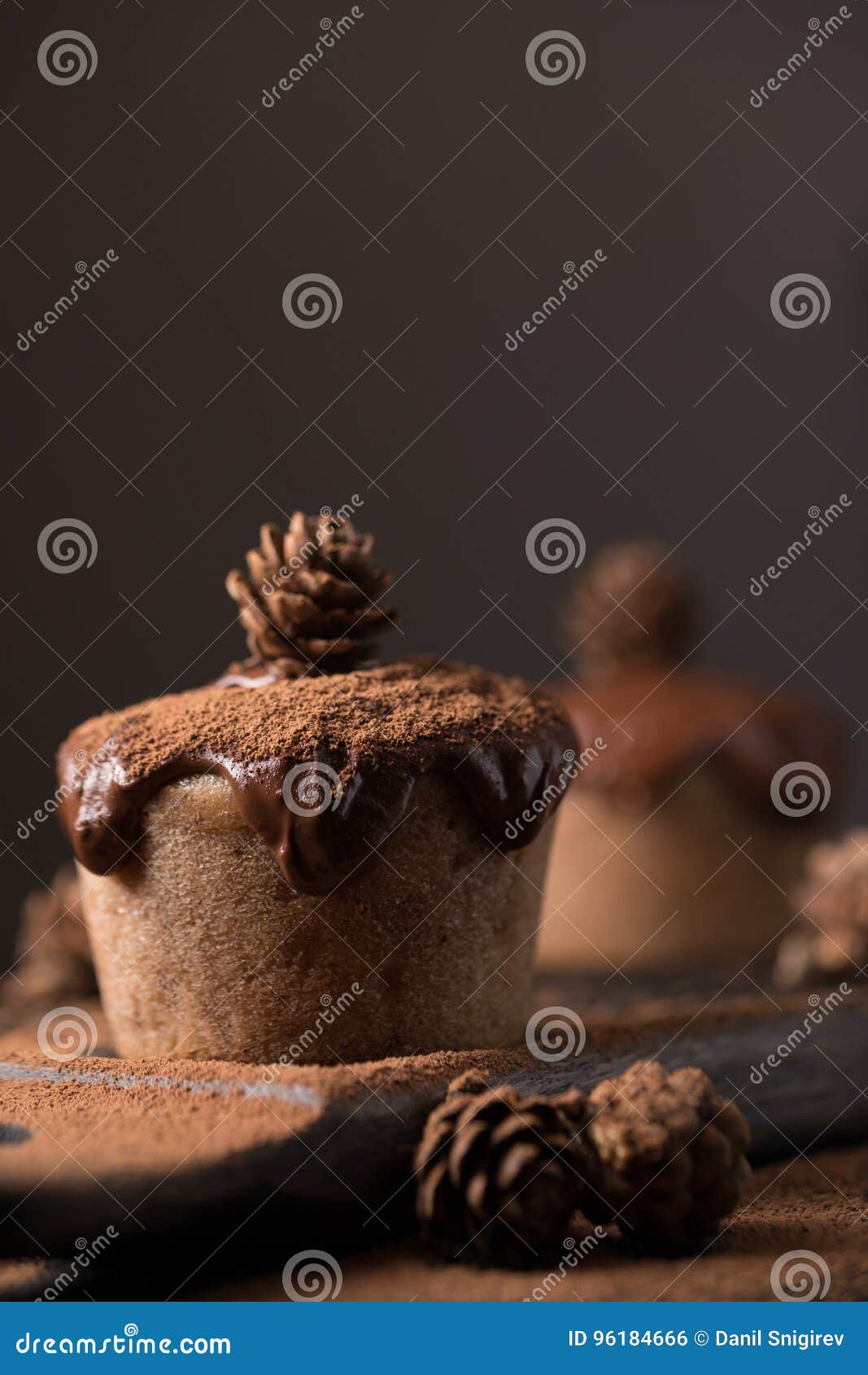 Chocolate muffins, decorated with a small cone on a dark wooden background. Cupcakes are poured with dark chocolate and cocoa powd. Chocolate muffins, decorated with a small cone on a dark wooden background. Low key. Cupcakes are poured with dark chocolate and cocoa powder. Cupcakes with unusual decoration.