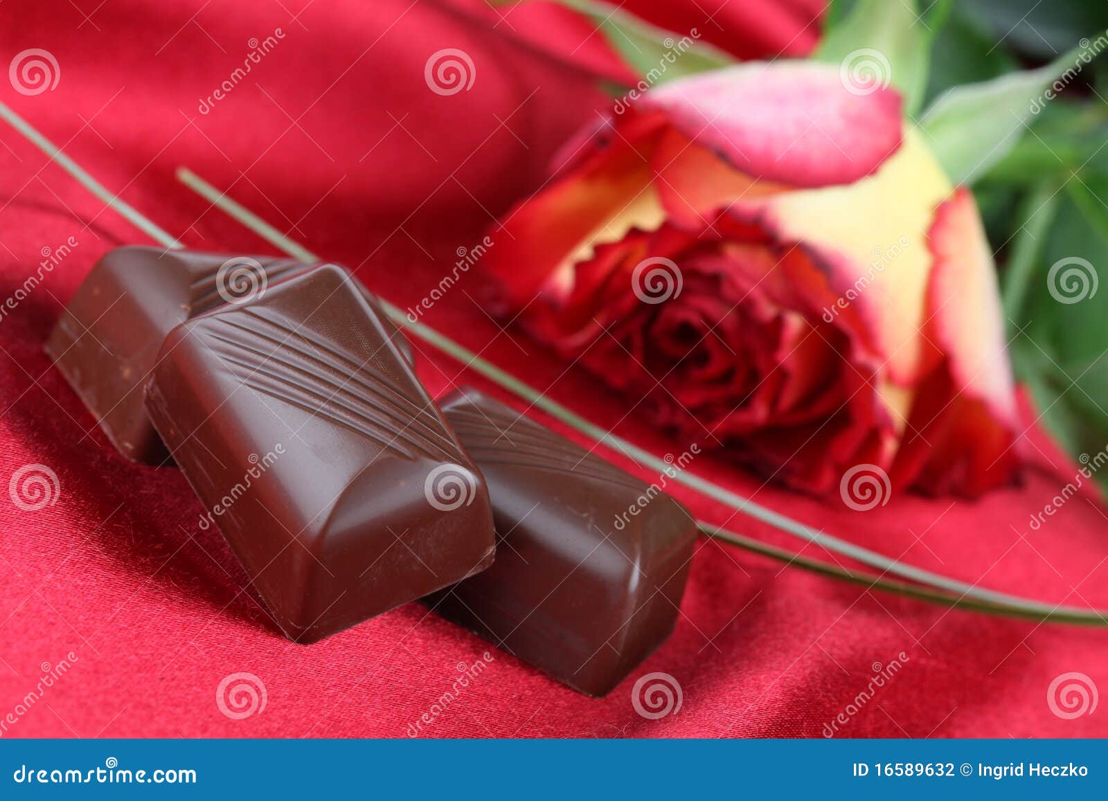 Chocolate and rose stock photo. Image of food, romance 16589632