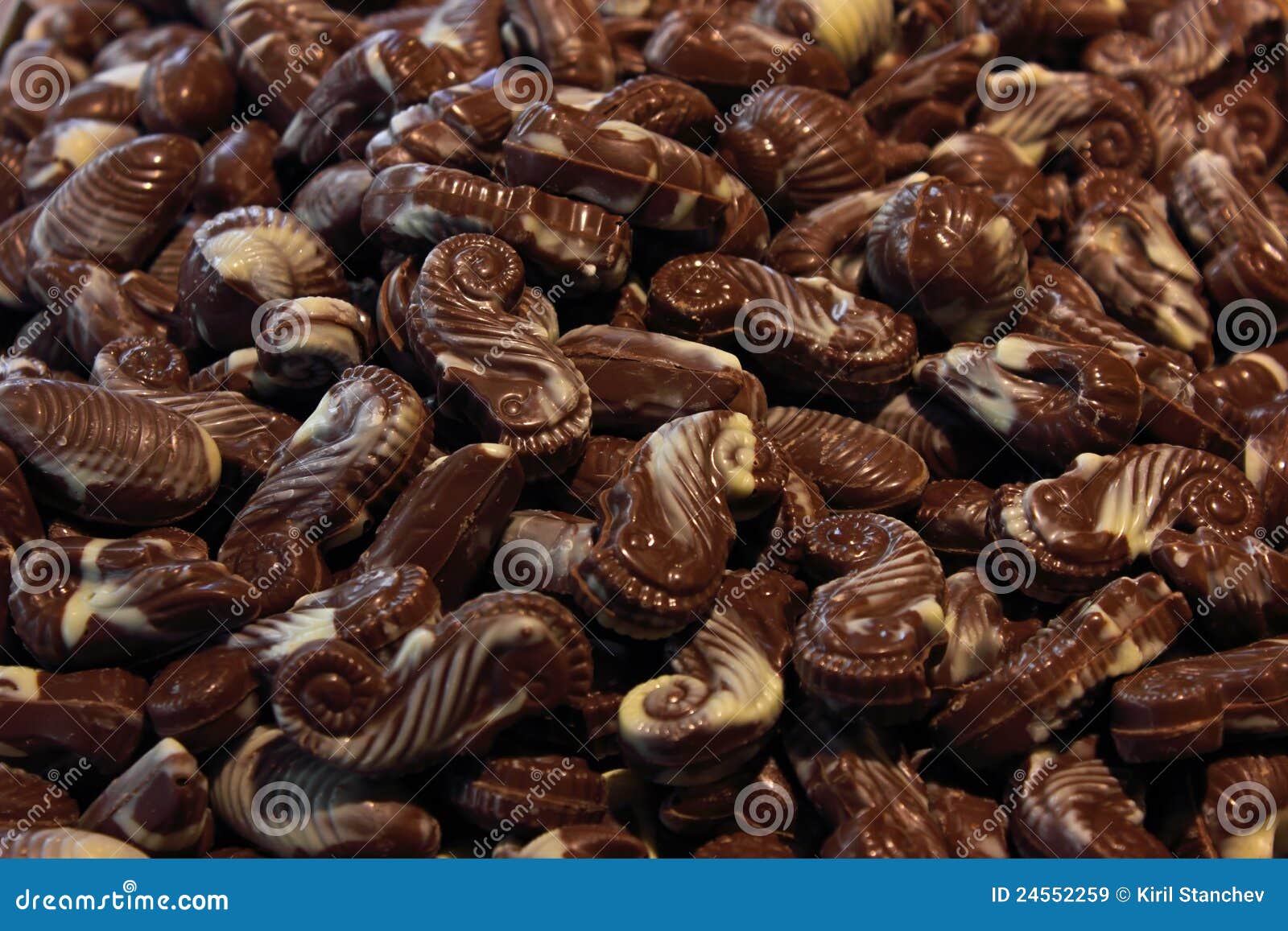 Chocolate Seahorses stock image. Image of sugary, dessert 24552259